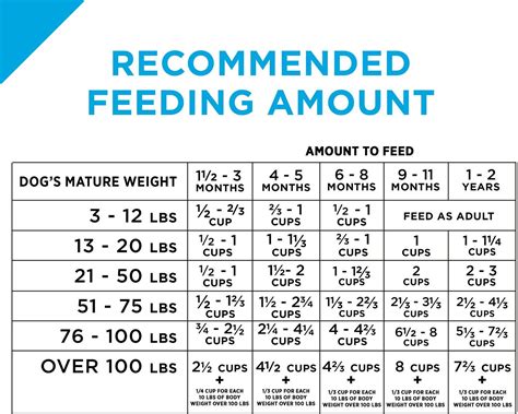 nutro dog food small breed|nutro dog food feeding chart.